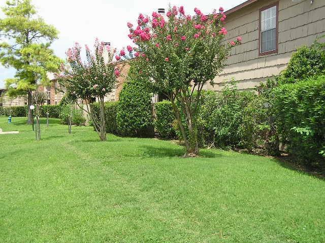 Primary Photo - 9101 Country Creek St