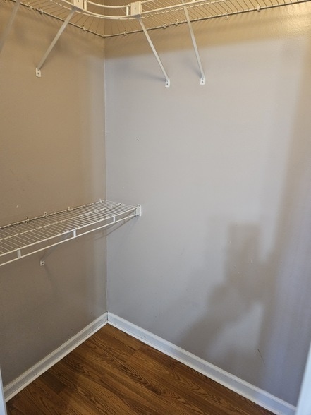 Building Photo - 809 Mason Tucker Dr