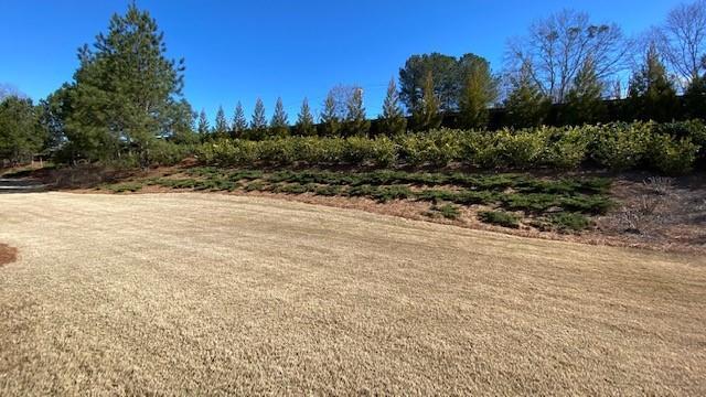 Building Photo - 3691 Heirloom Loop Ct NE