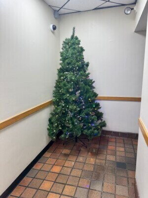 Building Photo - 1114 Commonwealth Ave