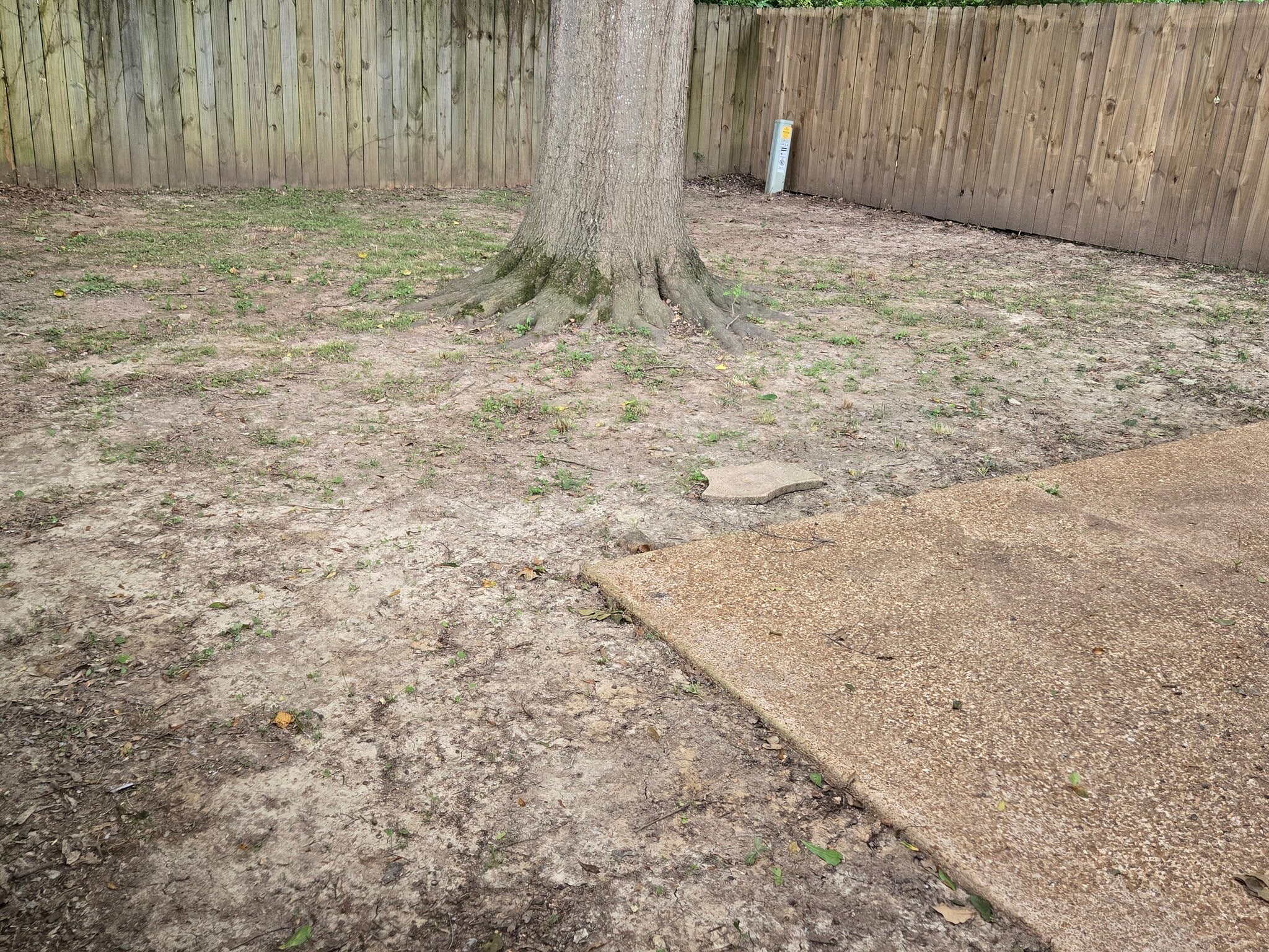 Building Photo - 3634 Dawnridge Cv