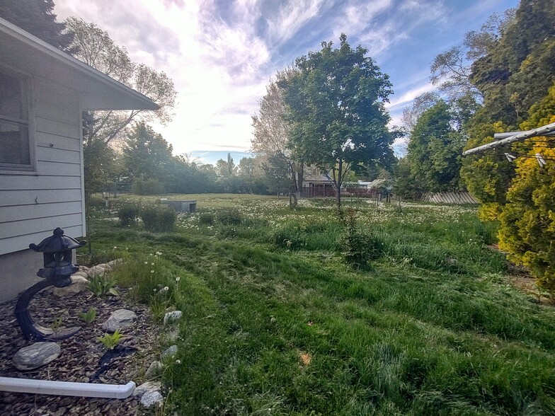 Yard - 1432 Childs Ave