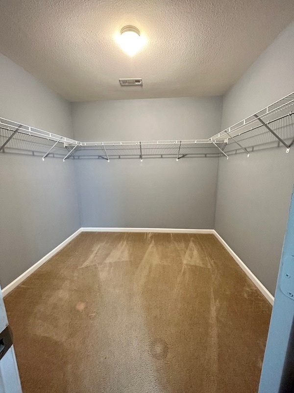 Building Photo - 3987 Tallowtree Ln