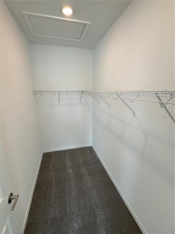 Building Photo - 994 Teal Crk Dr