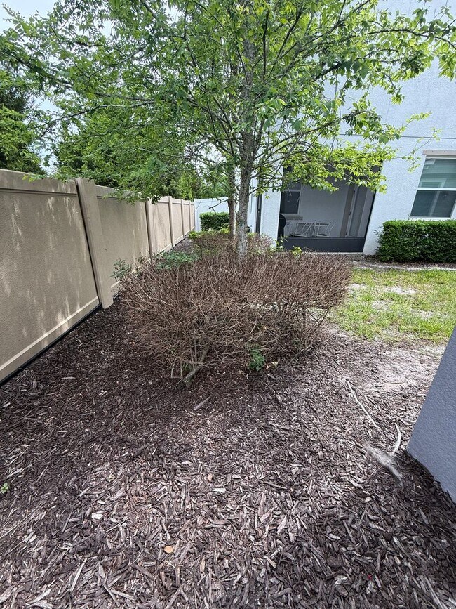 Building Photo - Beautiful Townhome in Lutz