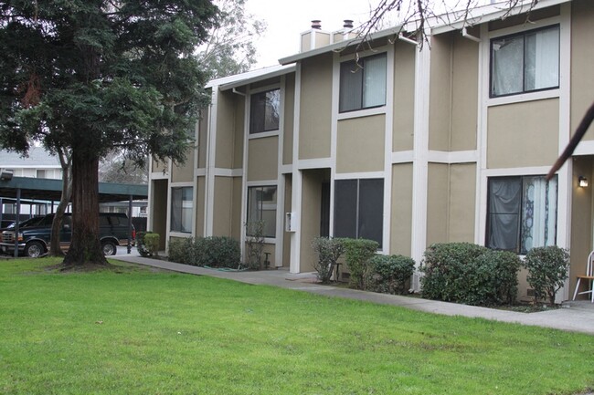 Common Area - Pinewood Village Condominiums