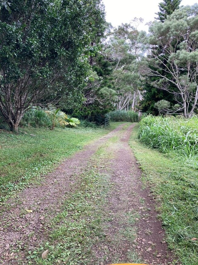 Building Photo - 2 Bedroom 1 Bath plus an office on a 8 acre farm