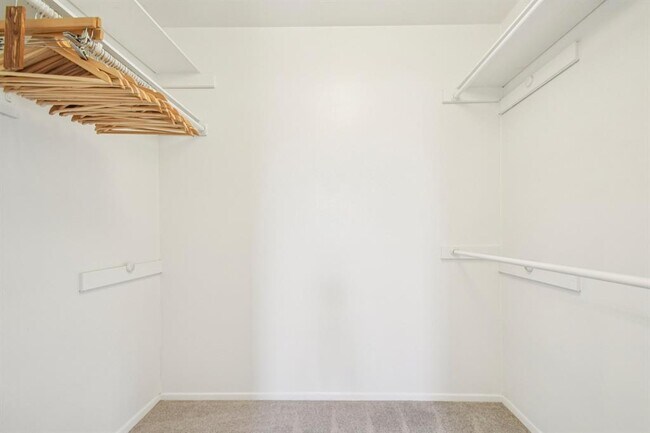 Building Photo - 2505 Comburg Castle Way