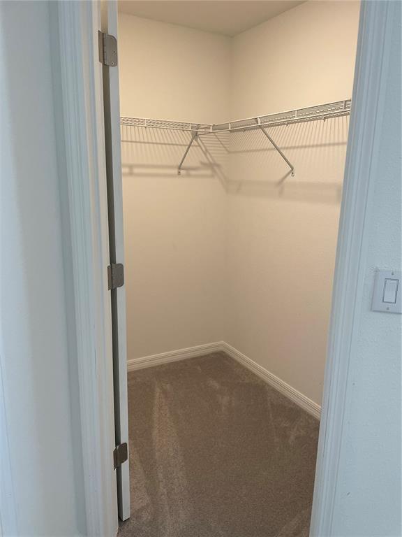 Building Photo - 32077 Powderpuff Mimosa Dr