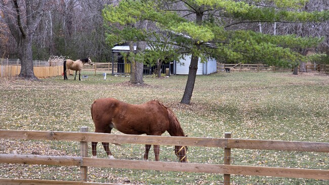 Building Photo - 9500 Fox Valley Dr
