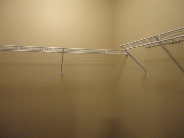 Building Photo - 4857 Rialto Ridge Dr