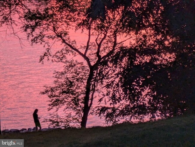 Building Photo - 855 De Franceaux Harbour