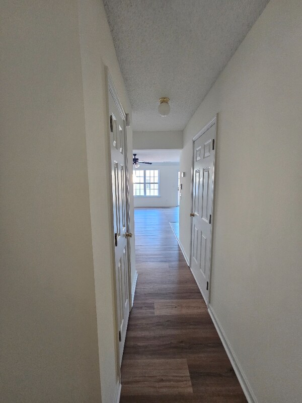 Building Photo - 246 Venture Path