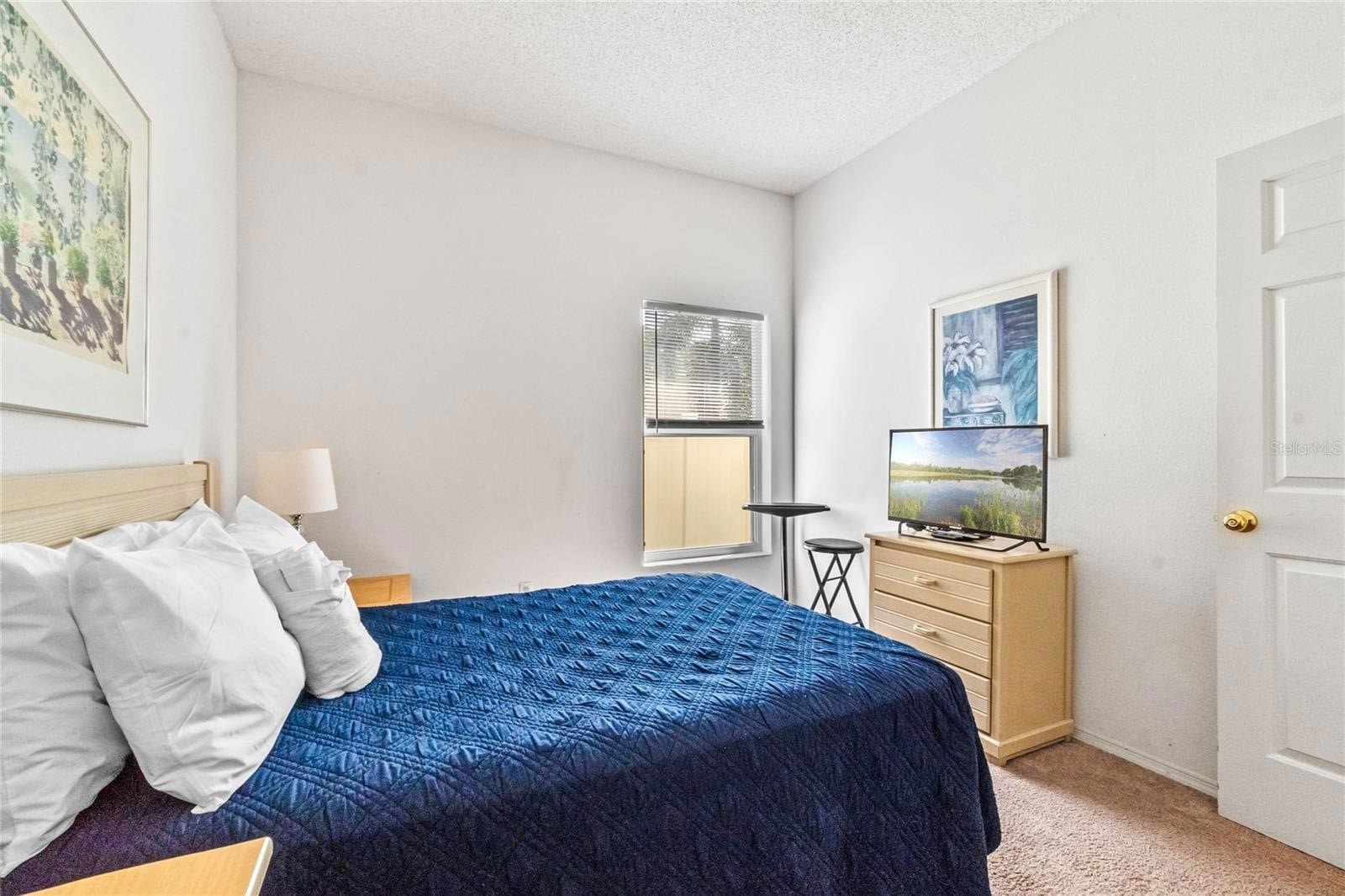 Third Bedroom - 647 Ella Mae Dr