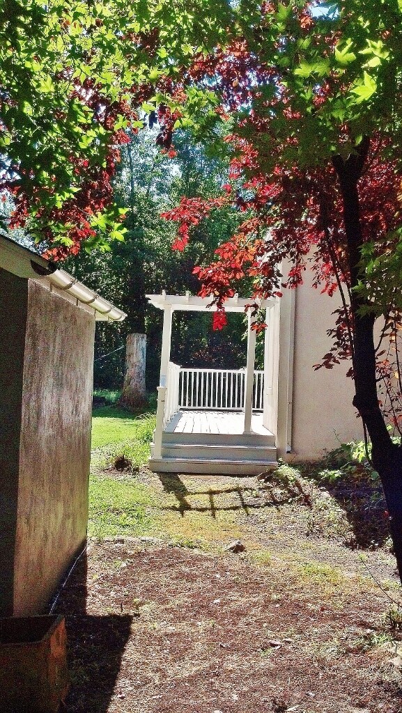 Pathways to the sunny yard and hammocks - 657 South Sumneytown Pike