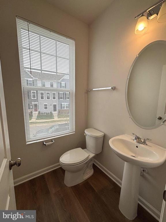 Building Photo - 24 Anthem St