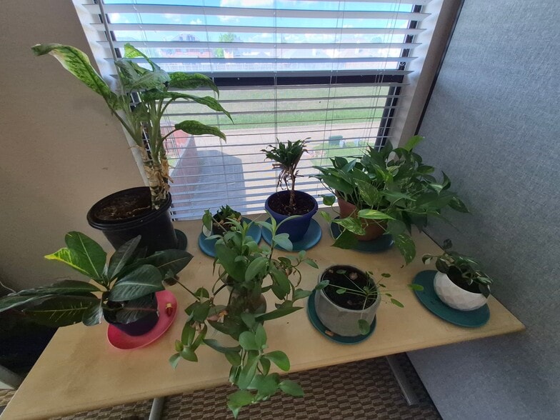 Building Photo - 5611 Aberdeen Dr