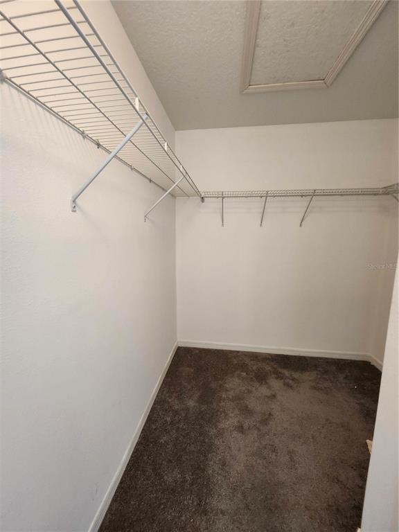 Building Photo - 949 Seminole Sky Dr