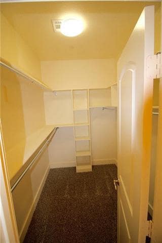 Building Photo - 209 Lily Ln