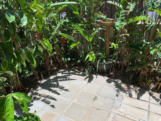 Building Photo - Nicely Furnished, tastefully remodeled, downstairs Kihei Villages with 2 designated parking spaces