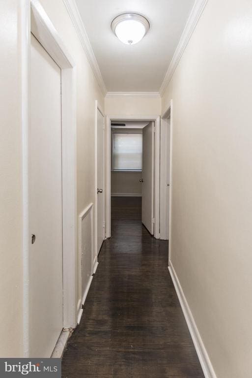 Building Photo - 8217 Thouron Ave