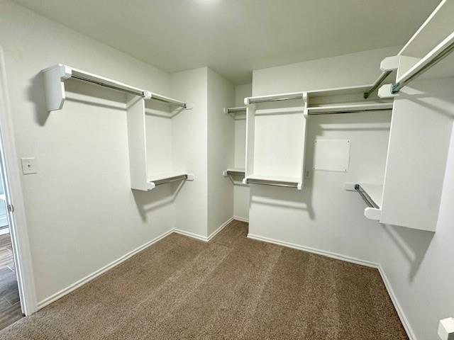 Building Photo - 3134 Mt Nebo Dr