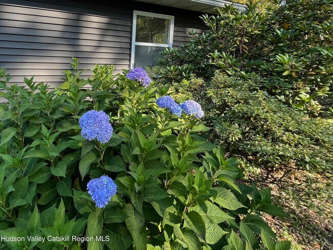 Building Photo - 5265 NY-9G