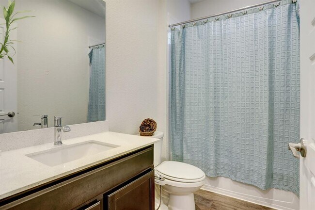 Building Photo - 113 Filifera Ct