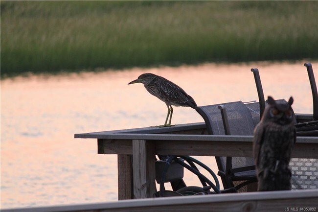 Building Photo - 3100 Dune Dr