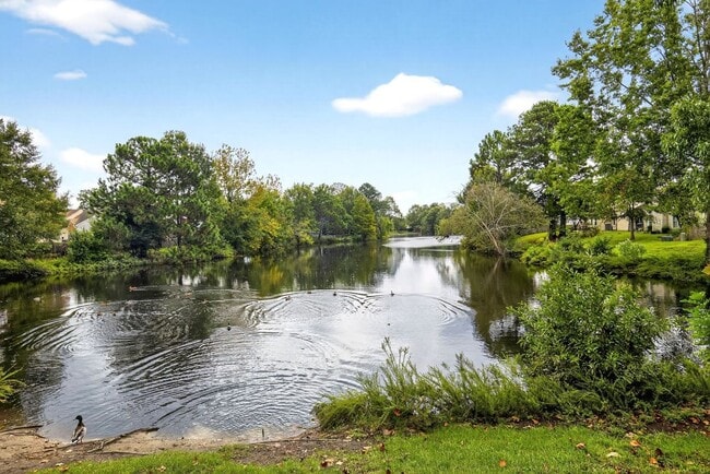 Building Photo - 1912 Bunnell Ct