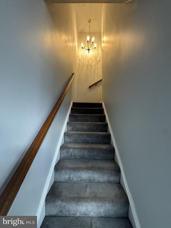 Building Photo - 116 Black Duck Ct