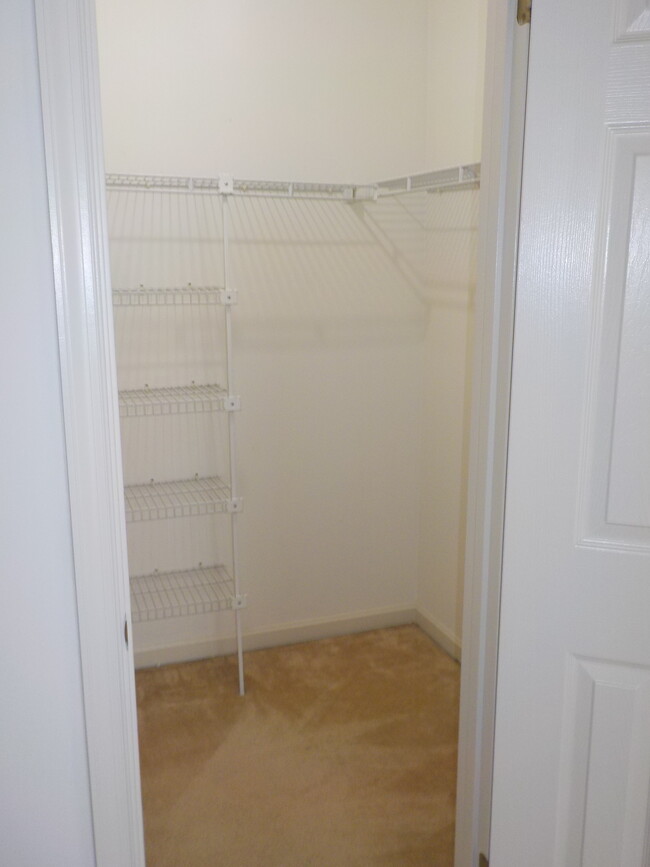 2 walkin closets on 2nd floor - 1705 Peyton Randolph Ct