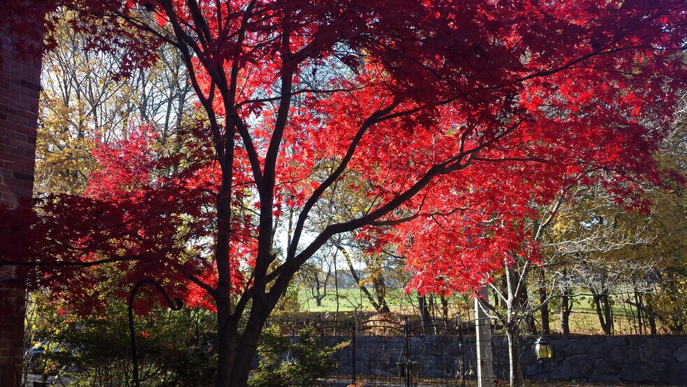 Fall Colors From Driveway - 31 Greycliff Rd