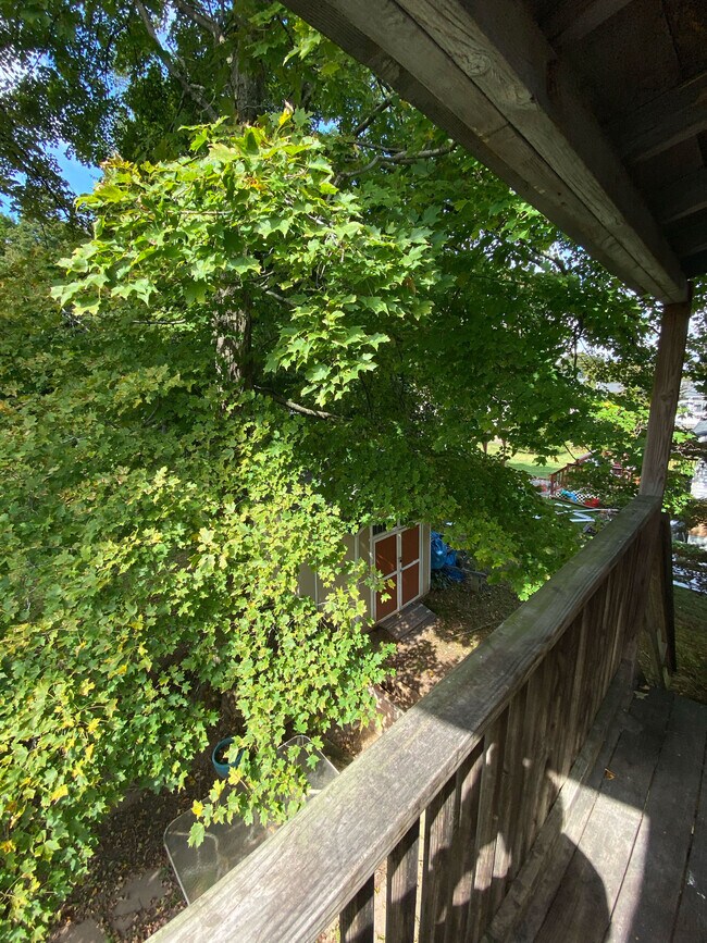 Porch - 31 Chapel St