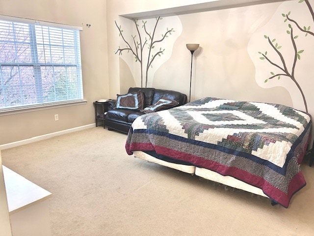 Master Bedroom - 1412 Leigh Ct