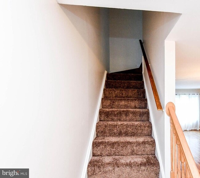 Building Photo - 7002 Cipriano Woods Ct