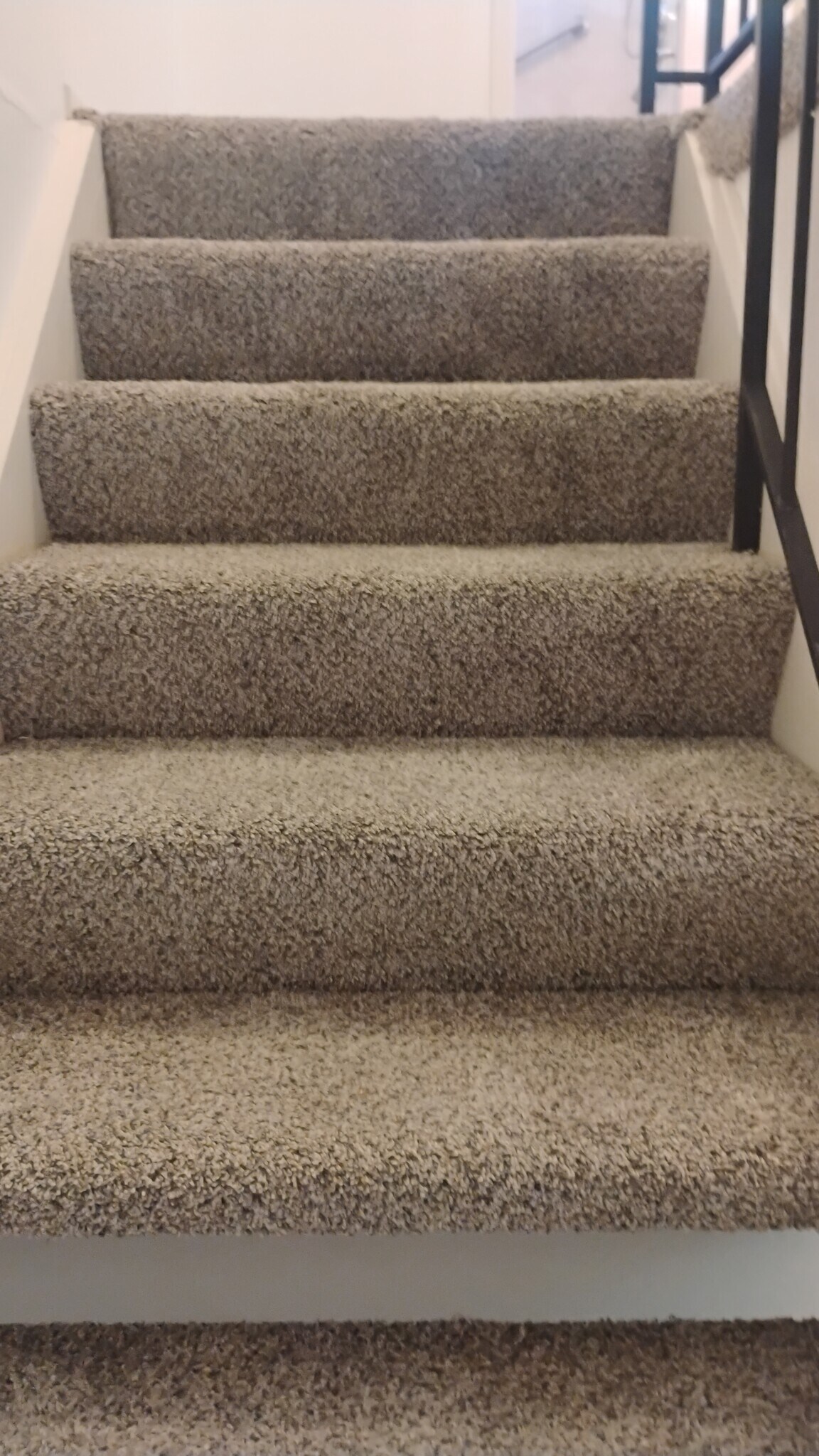 Stairs - 8732 Woodman Way