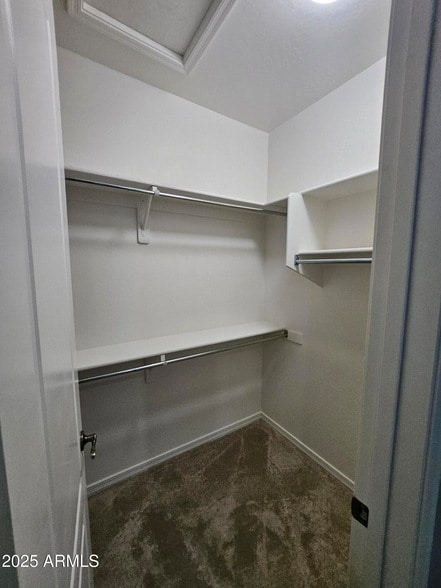 Building Photo - 3216 S Cottonwood Dr