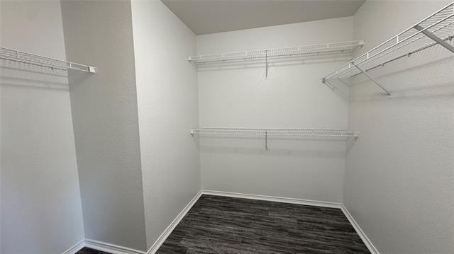 Building Photo - 907 Post Oak Trail