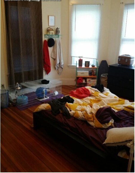 Building Photo - 65 Hillside St