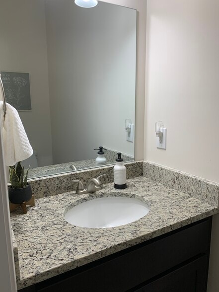 Downstairs Guest Bath - 239 Louise Ln