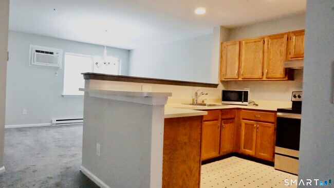 Building Photo - 234 Willow Springs