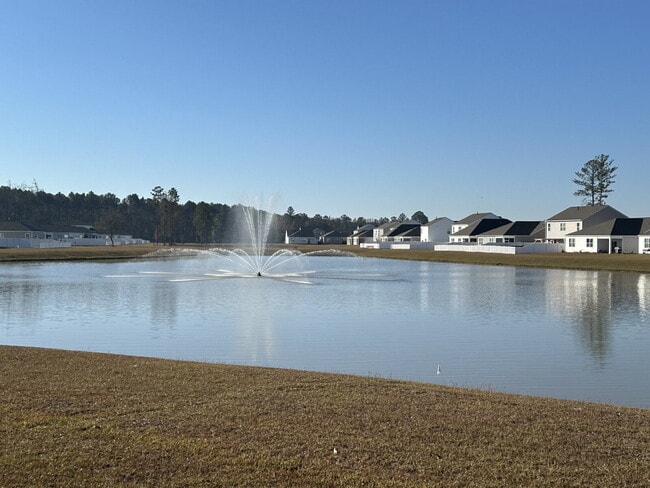 Building Photo - Three Bedroom Single Level Home in the Retreat at East Argent!