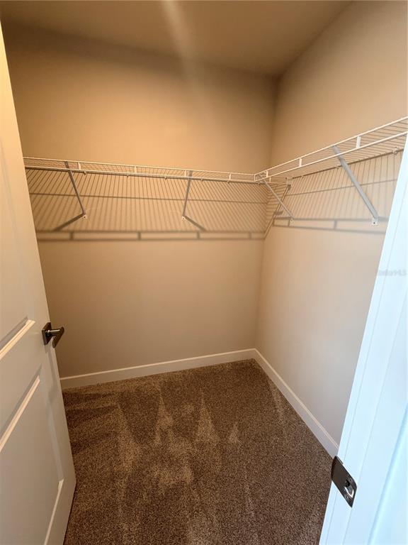 Building Photo - 12314 Amber Crk Cir