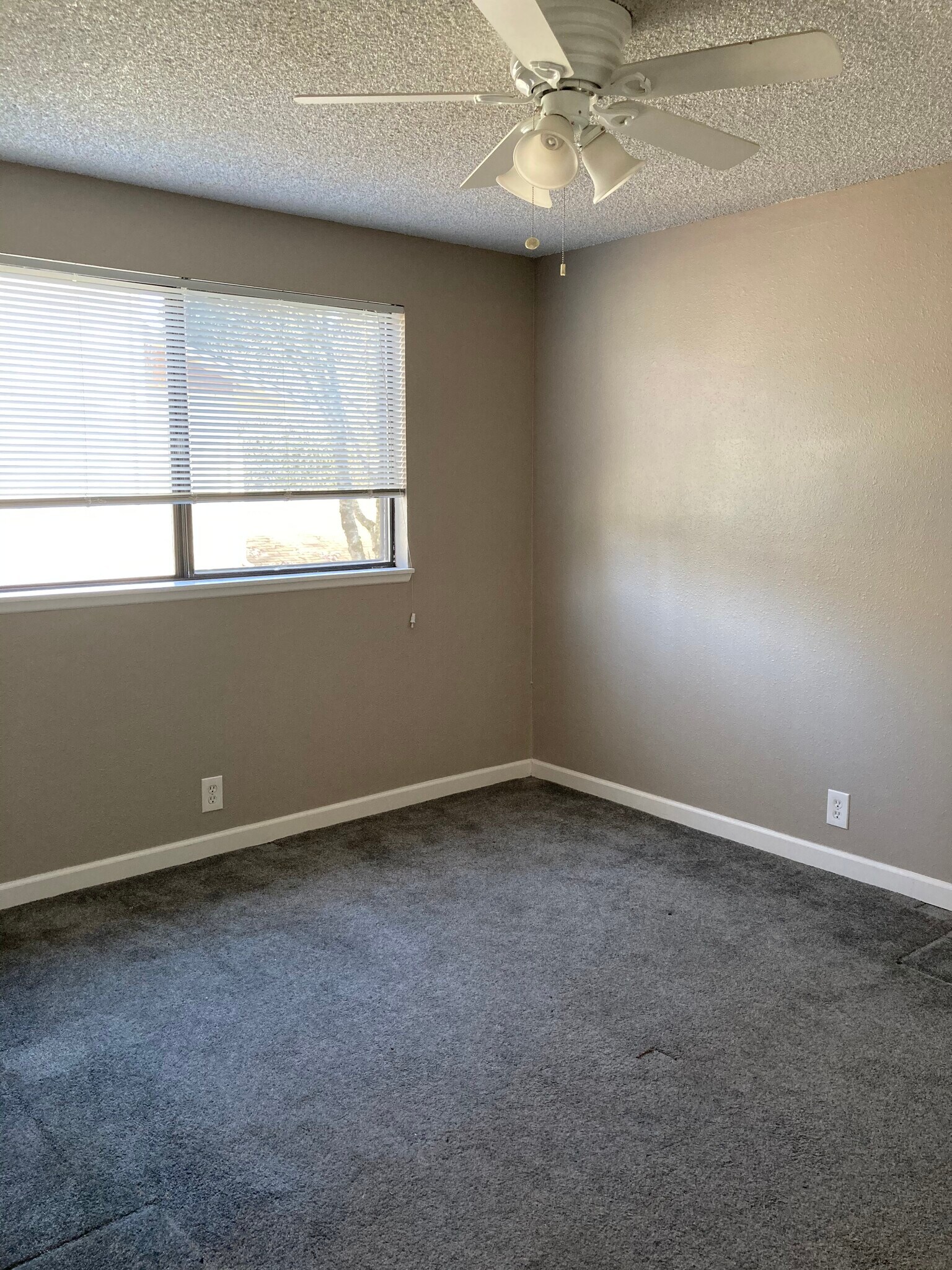 Building Photo - 2863 Applewood Ln