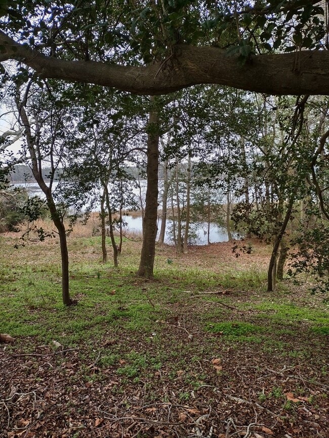 Building Photo - 35448 Windingdale Dr