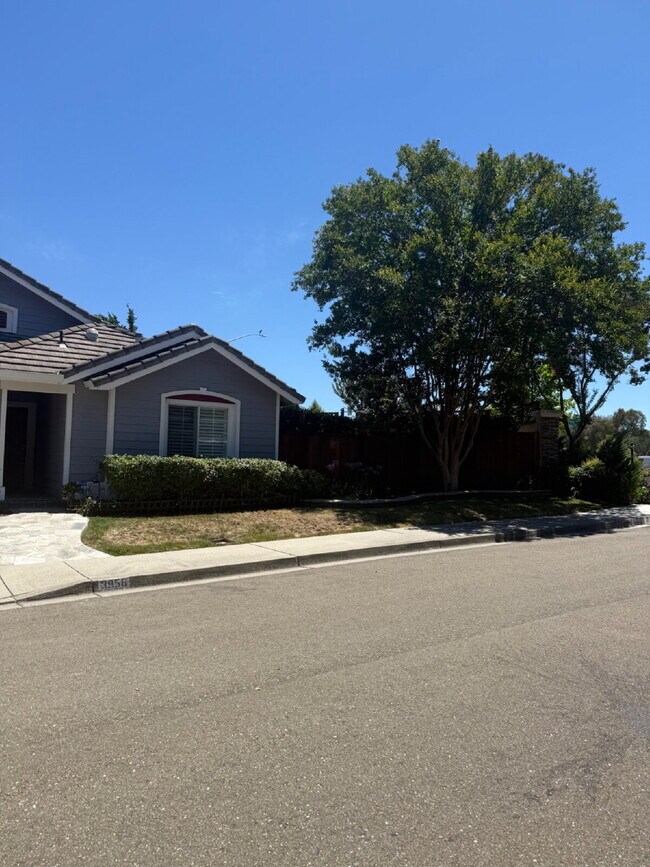Building Photo - Beautiful 3-Bedroom 2 bathroom in the Heart of Pleasanton!