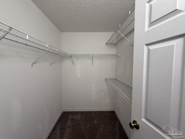 Building Photo - 2511 Trailwood Dr