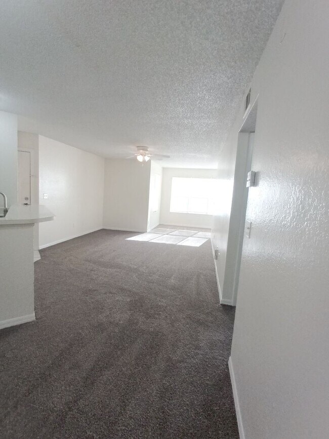 Building Photo - V1113