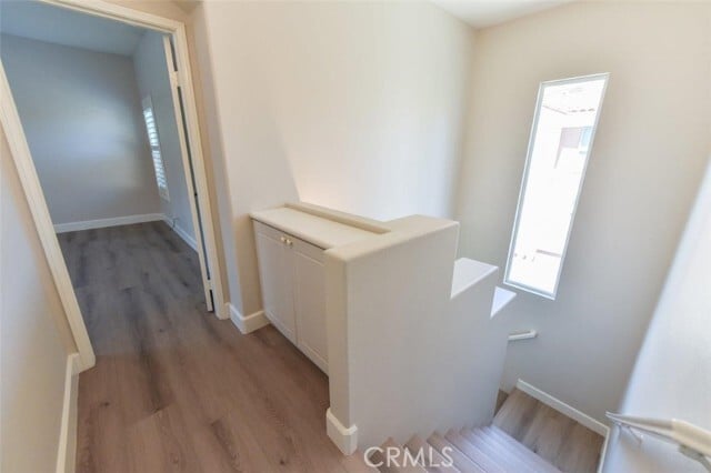 Building Photo - 12 Palagonia Aisle